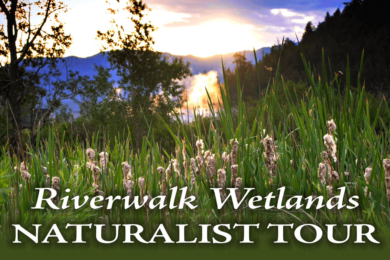 Naturalist tours