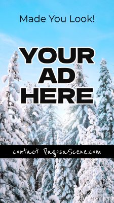 ps_sample-Ad2